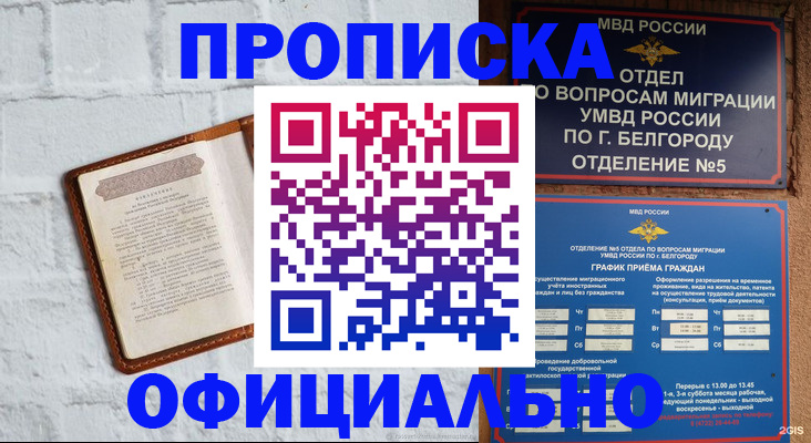 временная регистрация для школы в Волоколамске